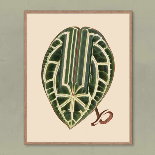 Leaf
