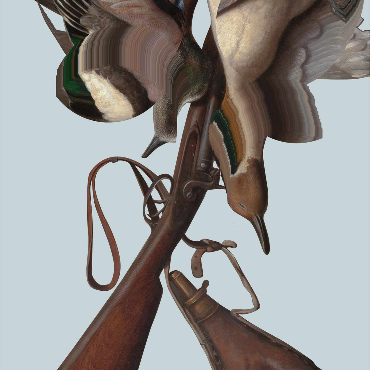 Flight